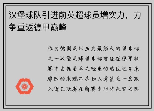 汉堡球队引进前英超球员增实力，力争重返德甲巅峰