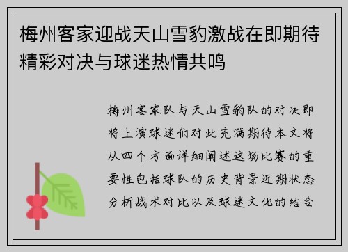 梅州客家迎战天山雪豹激战在即期待精彩对决与球迷热情共鸣